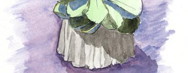 illustration