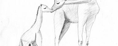 illustration