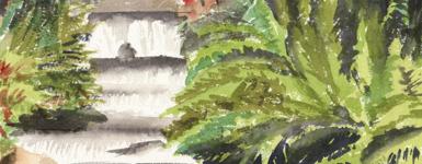 illustration