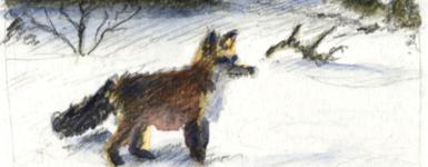 illustration